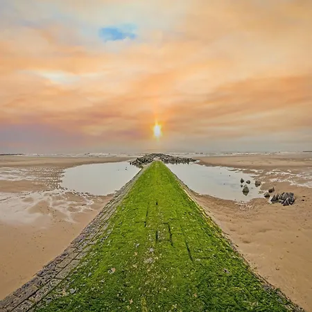 With Sea View * Middelkerke